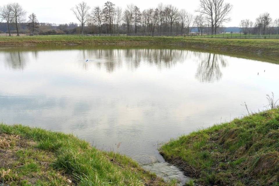 a5be7603786615d30dd3df3d32247582_XL