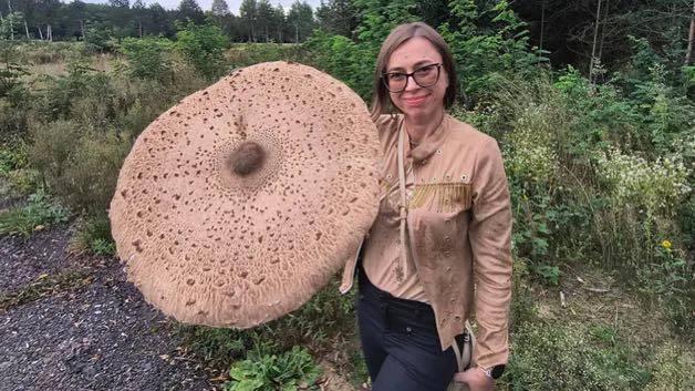 552097865_1395312895934172_4444218189939778783_n